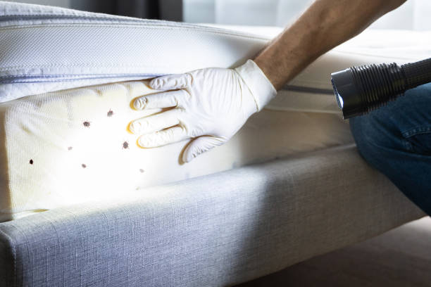 Pest Control Cost in Loving, NM