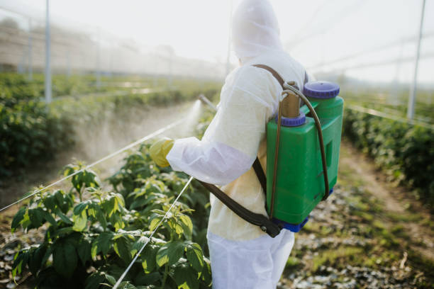 Best Exterminator Services  in Loving, NM